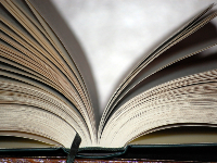 La lectura como ritual veraniego