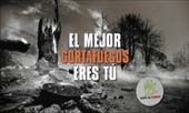 Consejería Medio Ambiente Comunidad Madrid