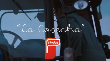 Grey empieza a trabajar para Findus