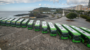Transportes Interurbanos de Tenerife saca a licitación el desarrollo de una campaña