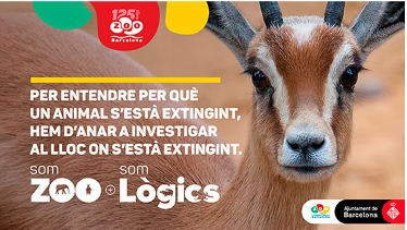 Saatchi & Saatchi  empieza a trabajar para Zoo de Barcelona
