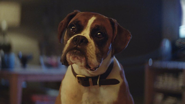 John Lewis ya tiene director para su campaña de Navidad