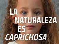Reale Seguros