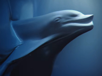 Sea Shepherd