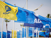 Creatividad premiada (y IV): Cannes Lions
