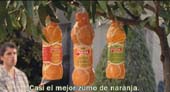 Pascual