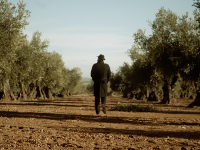 Aceites de Oliva de España